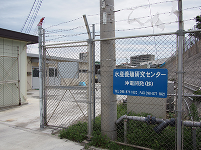 沖縄開発株式会社水産養殖研究センター