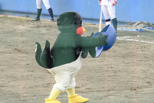 蜀咏悄謗｡逕ｨ蛻・12