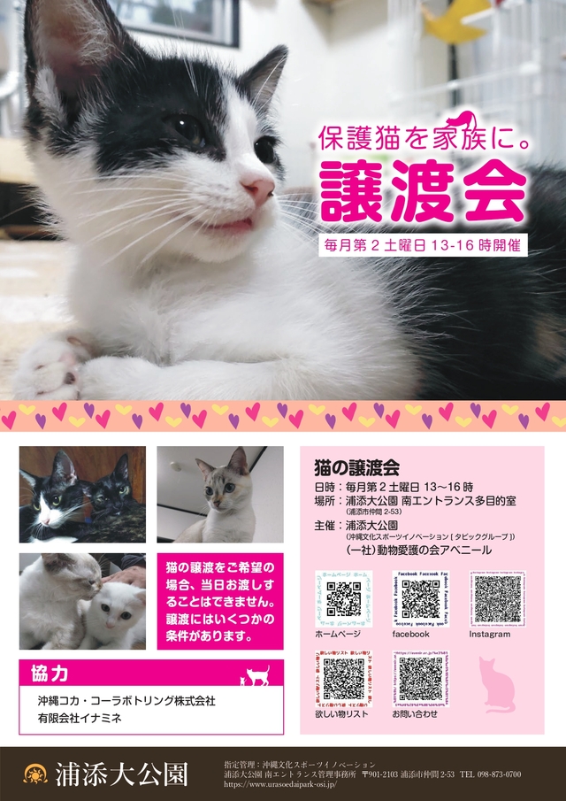 保護猫譲渡会