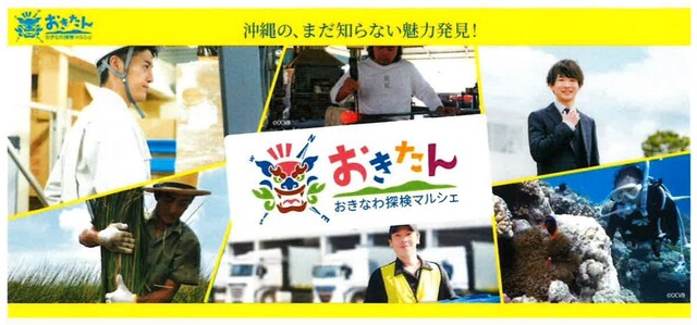 おきなわ探検