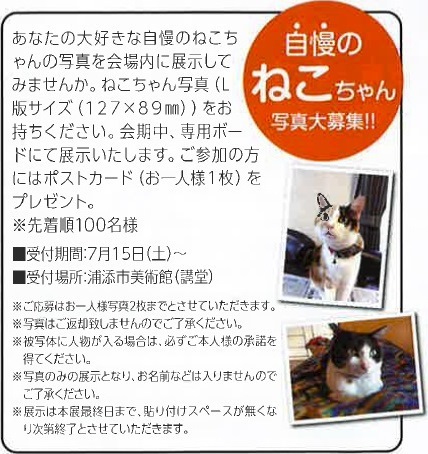 ねこちゃん写真展示