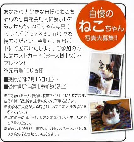 ねこちゃん写真展示