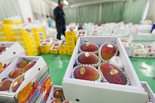 chuooroshiuri01 chuooroshiuri01