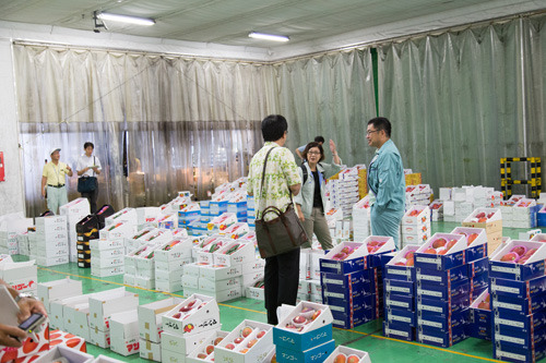 chuooroshiuri03 chuooroshiuri03