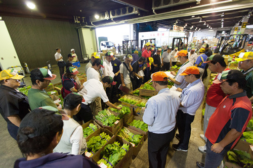 chuooroshiuri04 chuooroshiuri04