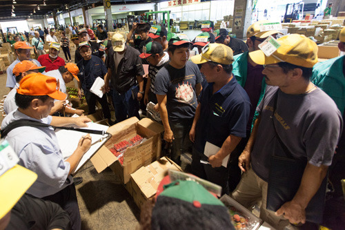 chuooroshiuri05 chuooroshiuri05