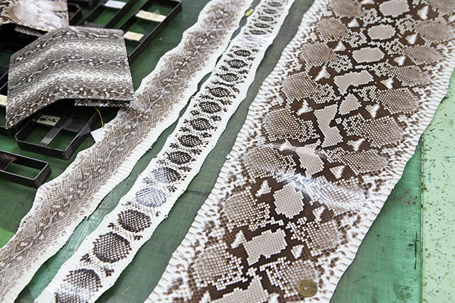 kau_benzai03 kau_benzai03