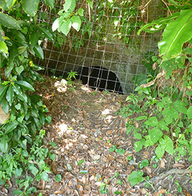 浦添グスクの缶詰壕とカンパン壕 浦添グスクの缶詰壕とカンパン壕