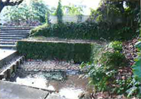 立津ガー 立津ガー