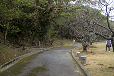 伊祖公園遊歩道