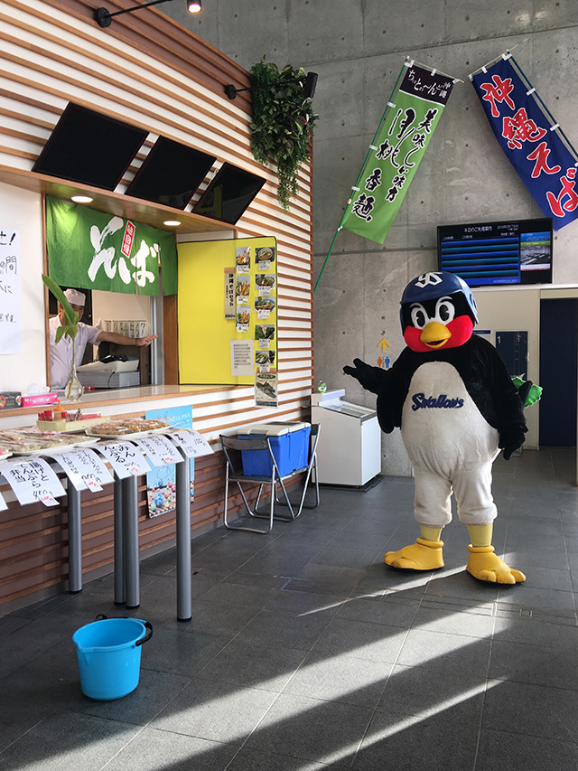 つばさんぽレポートのようす 【画像】つばさんぽレポートのようす