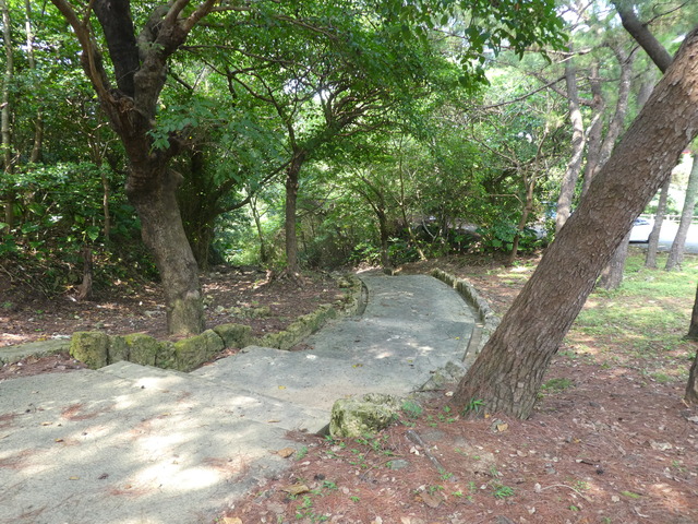 琉球石灰岩石段