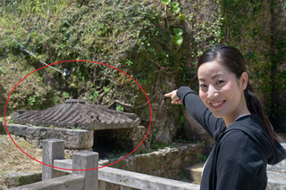 Tokusyu_tedakoladytaiken10 Tokusyu_tedakoladytaiken10