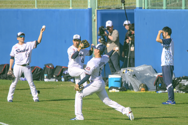 東京ヤクルトスワローズ春季キャンプが沖縄・浦添市のANA BALL